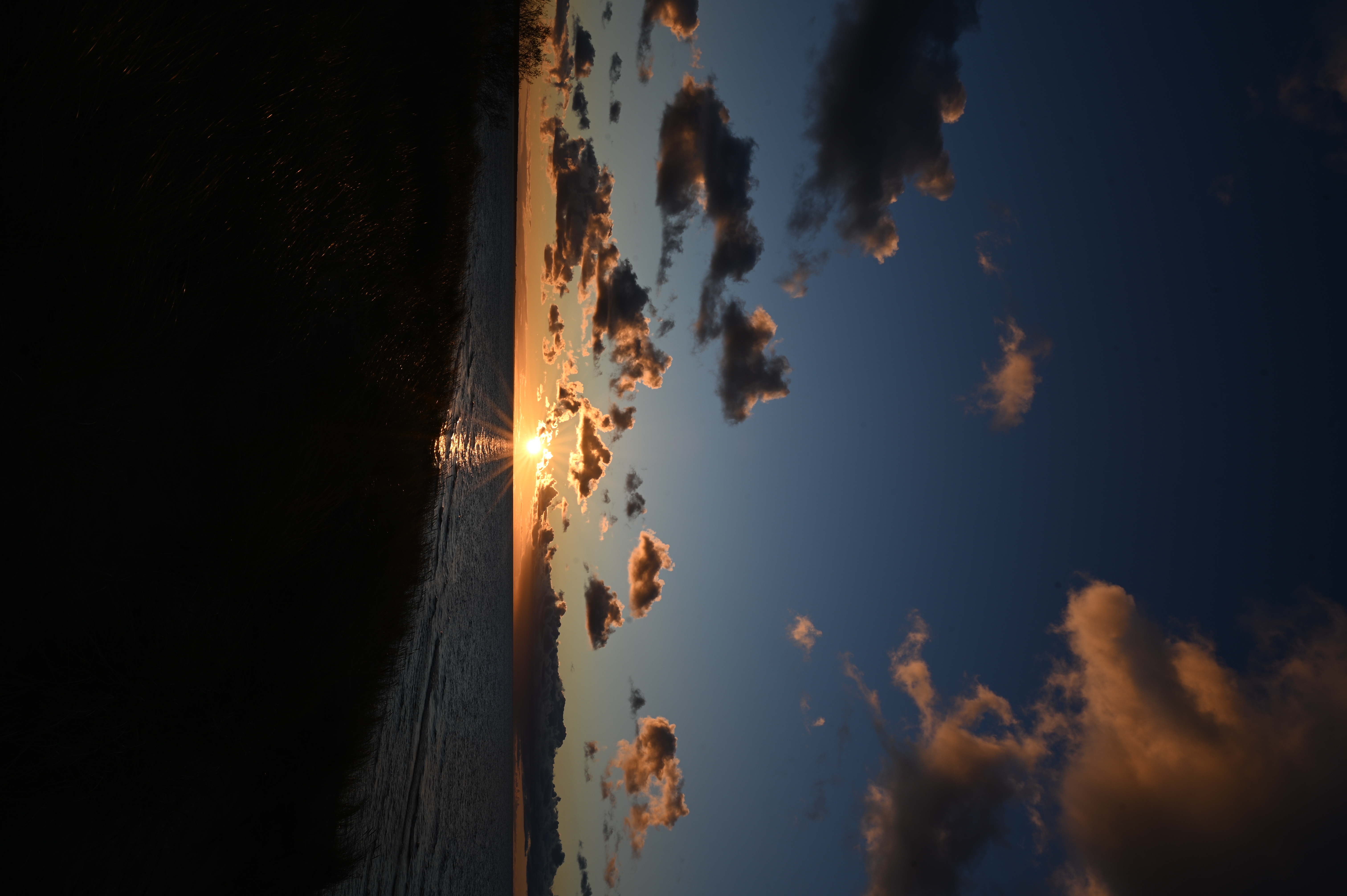 2025/10/18 - walk/DSC_0395.JPG